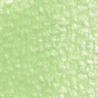 Holbein Coloured Pencil - Opal Green #271                                                                 