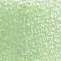 Holbein Coloured Pencil - Misty Green #272                                                               
