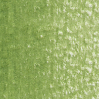 Holbein Coloured Pencil - Moss Green #290                                                                 