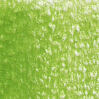 Holbein Coloured Pencil - Leaf Green #291                                                                 