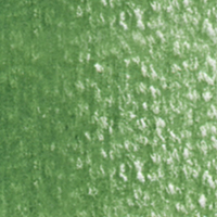 Holbein Coloured Pencil - Cactus Green #292                                                               