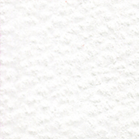 Holbein Coloured Pencil - White #500                                                                      