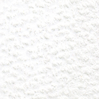 Holbein Coloured Pencil - Soft White #501                                                                 