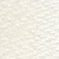 Holbein Coloured Pencil - Warm Grey 1 #521                                                                
