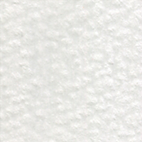 Holbein Coloured Pencil - Cool Grey 1 #531                                                                