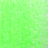 Holbein Coloured Pencil - Luminous Green #750                                                             