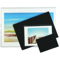 Presentation Sleeves
